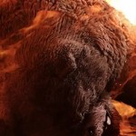 league of legends动画中的烟火特效制作分解