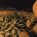 泰迪熊2电影特效镜头制作解析